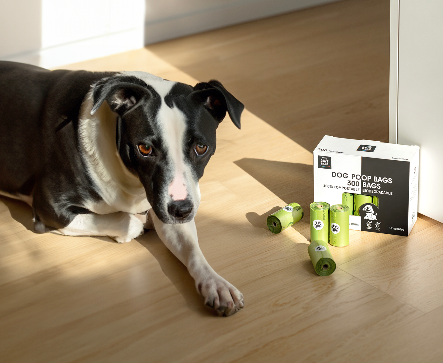 100% Certified Compostable Dog Poop Bags, Non Scented /  8 Rolls of 15 Bags
