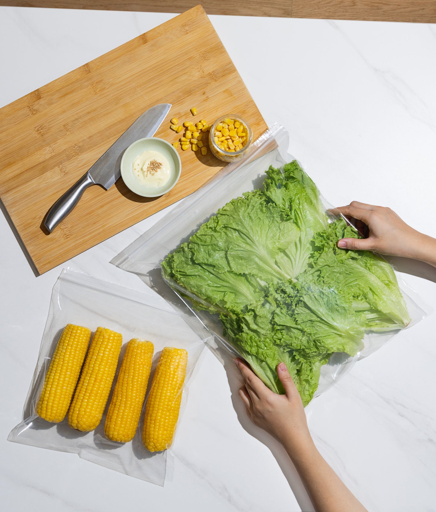 Seal Top 2 Gallon Storage Bag, Single Seal- XL/100